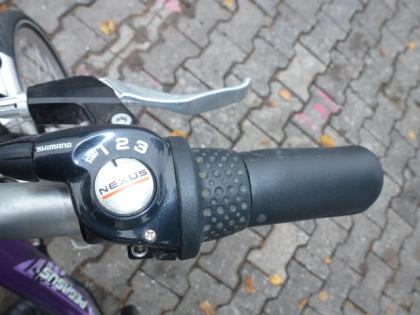 (12) 3 Gang Rücktrittsbremse 20 Zoll Rh 30 PEGASUS Exclusiv Modell