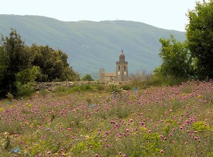 Fantastisches Landgut in der Provence