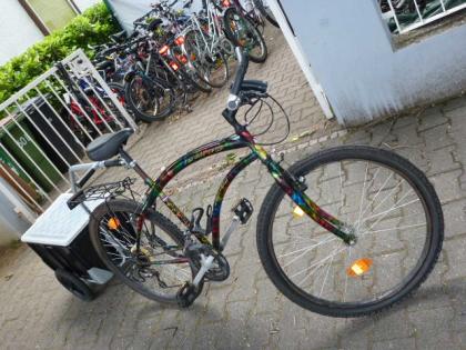 (4) 18 Gang HOLLAND mit Anhänger 26 Zoll Rh 43
