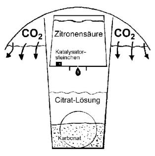 Söchting Carbonator / CO2 Anlage für 250l Aquariumwasser Aquarium