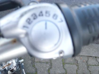 (14) 7 Gang Rücktrittsbremse 24 Zoll Rh 36 mit Nabendynamo
