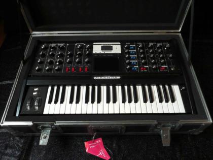 Moog minimoog voyager Electric