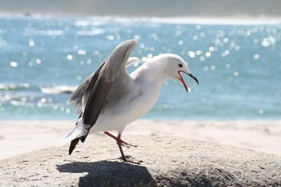 Urlaub in deutschsprachig geführten Unterkünften in Südafrika und Namibia