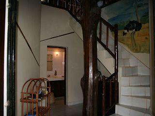 Kenia Urlaub in einem der schönsten Urlaubsregionen Afrikas