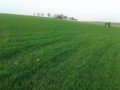 Ukraine, Bauernhöfe ab 100 ha, Oblast Zhytomir, Region Nowograd Wolynski