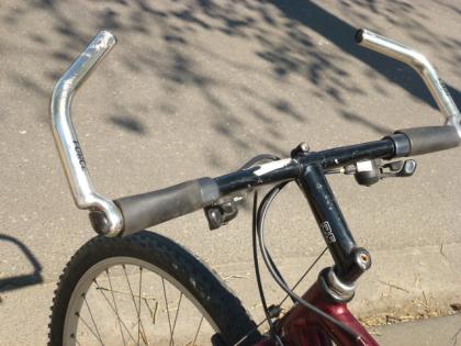 (242) 21 Gang BEAST Rh 46 Zoll 26 ALU-RAHMEN