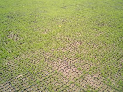 Rasengitter Wegbefestigung Parkplatz Nutzmaß 0,336 m² ( m² 11,73 EUR )