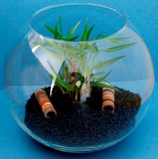 Kugelaquarium 13,5 Liter für Garnelen und Krebse als Nanoaquarium