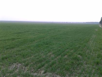 Ukraine, Bauernhöfe ab 100 ha, Oblast Zhytomir, Region Nowograd Wolynski