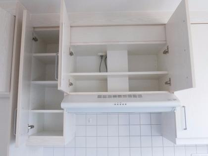 Marken-Einbauküche (Allmilmö); Ahorn weiß; gebraucht, abholbereit  demontiert