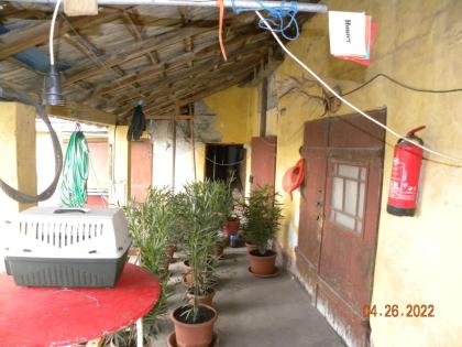 In Ungarn Bács-kiskun Komitat ein 100 m2 Buernhaus ist zu verkaufen