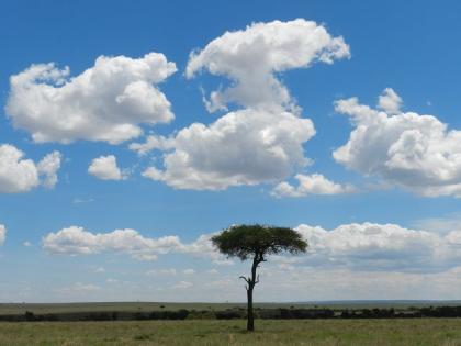 Weihnachten und Silvester - Jeep Safari Kenia 12 Tage 