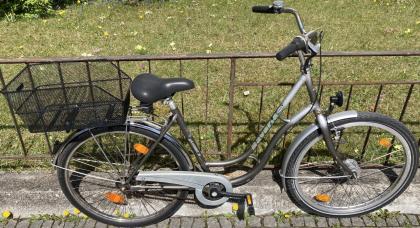 Fahrrad Stadtfahrrad Damenfahrrad Bavaria Line Lizzard für Damen, 26 Zoll, Korb