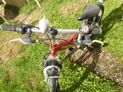 (170) 3 Gang Rücktrittsbremse 20 Zoll tiefer Einstieg Rh 33 Alu-