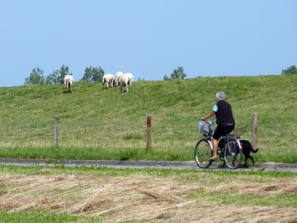 Hooksiel: Ferienhaus für 4 Personen an der Nordsee