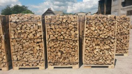 Brennholz BUCHE frisch 