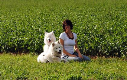 Tierliebes Verkaufstalent gesucht - Teilzeit