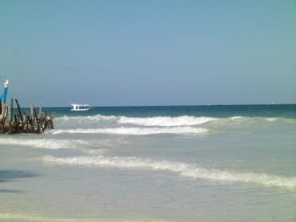 Kenia Safaris und Badeurlaub in Diani Beach