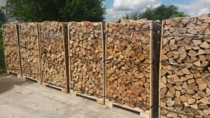 Brennholz BUCHE frisch 
