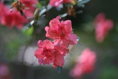 Urlaub in deutschsprachig geführten Unterkünften in Südafrika und Namibia
