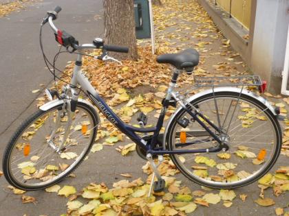 (11) 7 Gang Rücktrittsbremse 28 Zoll Rh 49 Gabel und Sattel gefedert Alu Rahmen