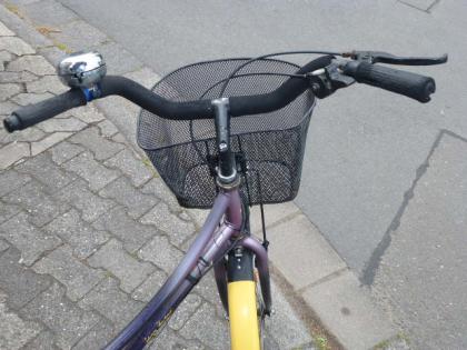 (101) 7 Gang Rücktrittsbremse tiefer Einstieg 26 Zoll mit 2 Korb vorn u hinten