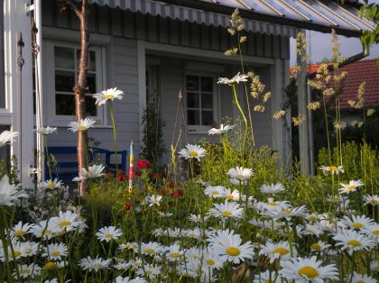 Traum-Ferienwohnung im grünen Herzen von Allgäu und Bodensee
