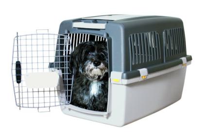 Flying Petbox- transport box rental!