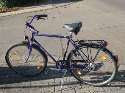 (160) 7 Gang Rücktrittsbremse SCHAUFF 28 Zoll Rh 57