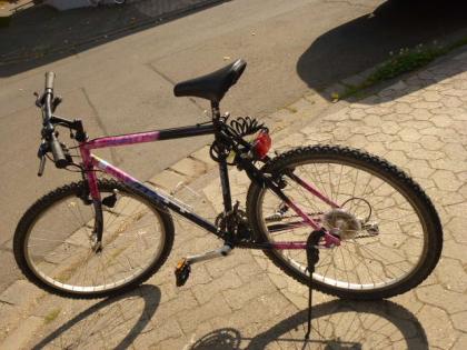 (19) 21 Gang GIANT  26 Zoll Rh 51 mit BELEUCHTUNG