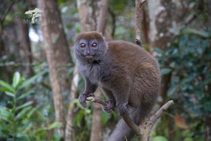 Rundreise Madagaskar & Komoren 2021