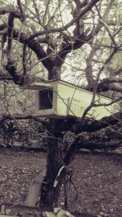 Nistkästen und Futterhäuser für Vögel