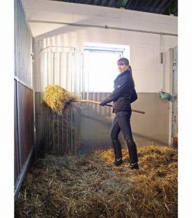 Grossraum- Heuraufe Standmodell ab 179, - €