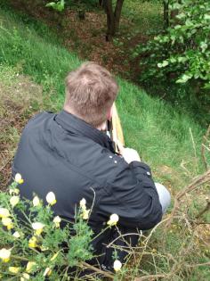 Lust auf was Neues ? 