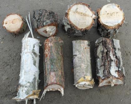 Häcksler, Gartenhäcksler, Häcksler für Holz