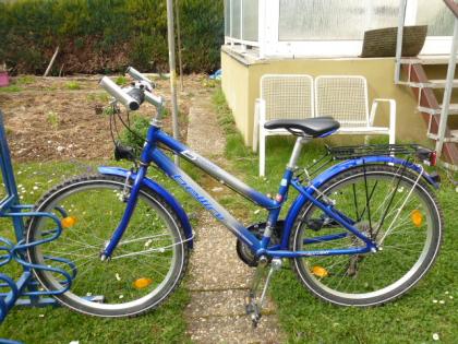 (237) 21 Gang bellini 26 Zoll Rh 40