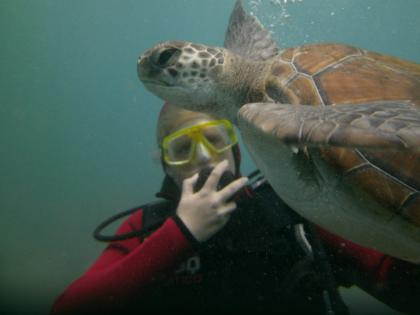 Tauchen auf Teneriffa mit Ocean Trek,  Playa Americas