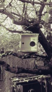 Nistkästen und Futterhäuser für Vögel