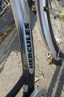 (44) 5 Gang Rücktrittsbremse 26 Zoll Rh 43 mit Nabendynamo Aluminium Rahmen