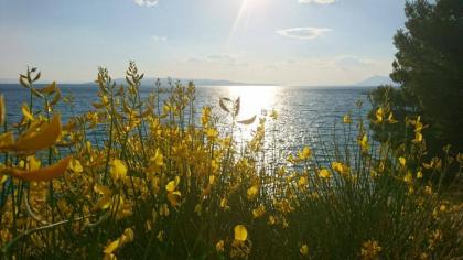 Yoga mit Urlaub oder Urlaub mit Yoga Kroatien