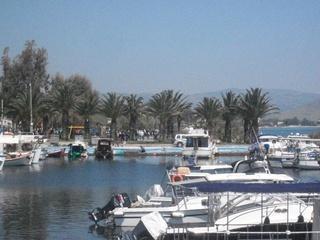 Griechenland in Nea Makri (Marathon) Bauland in einer schoenen ruhigen Lage zu v