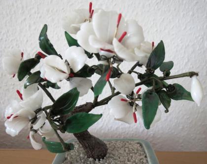 Kunst: Handarbeit Edle dekorative Pflanze aus Glas incl. Topf € 30, 00