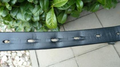 Dressursattel Custom Icon Flight 17, 5