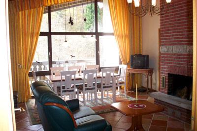 Harz - Urlaub mit Hund