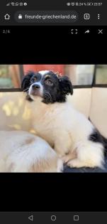 Hera -Pflegestelle gefunden