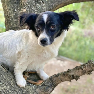 Hera -Pflegestelle gefunden