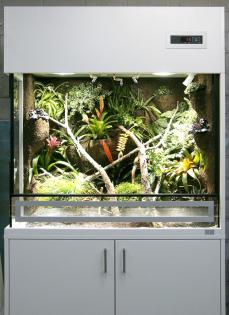Terrarium für Pfeilgiftfrösche - Paludarium (unser Typ P06)