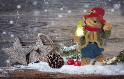 Solarbär, Weihnachtsdekoration, beleuchteter Tannenbaum