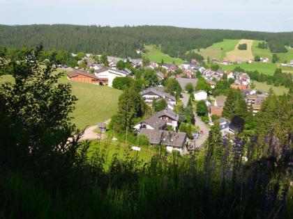 Ferienwohnung im Schwarzwald mit Hallenbad i. Haus