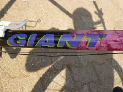 (19) 21 Gang GIANT  26 Zoll Rh 51 mit BELEUCHTUNG